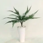 سرخس ژله ای